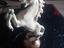Immagine 2