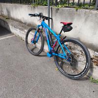 Bici MTB elettrica 