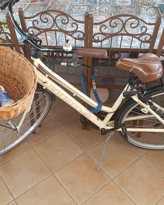 bicicletta allumineo