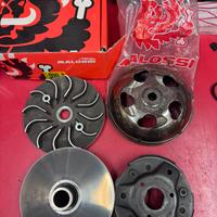 Trasmissione Malossi sh 300