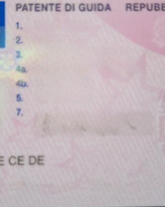 candidato lavoro autista tutte le patenti 
