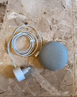 Nest Mini Grigio Chiaro