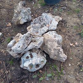 rocce ornamentali da giardino