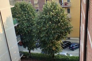 CAMERE IN CENTRO A PIACENZA PER STUDENTI