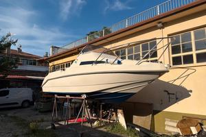 Bellingardo natante 5.50