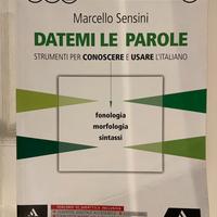 Libro di grammatica