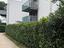 Immagine 24
