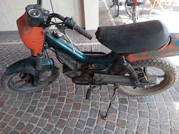 Fifty 50