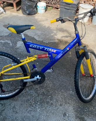 Bicicletta