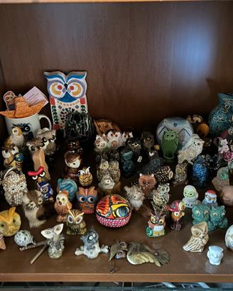 Collezione gufi e civette
