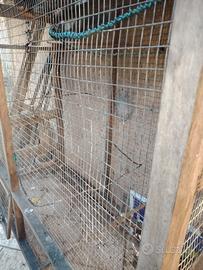 VOLIERA IN LEGNO E RETE METALLICA 