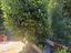 Immagine 18