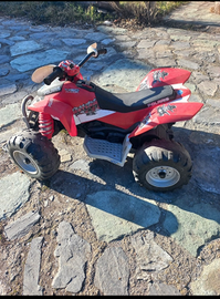 Quad elettrico usato