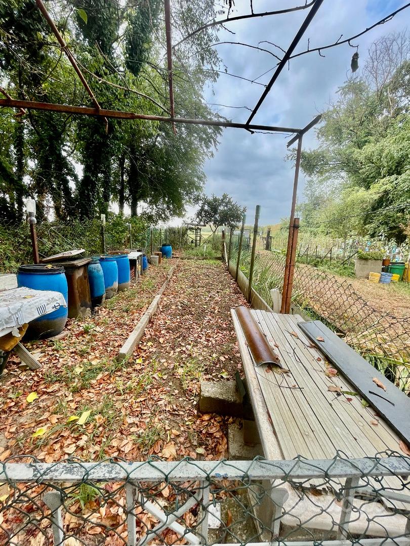 Terreno agricolo - Vista 2