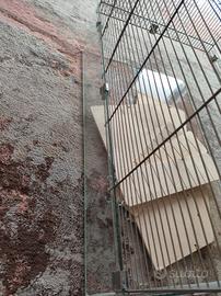 gabbia roditori fondo in vetro