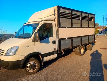 Trasporto animali vivi