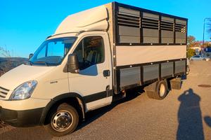 Trasporto animali vivi