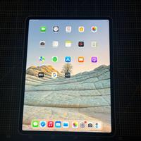 iPad Pro 12.9 Wi-Fi + Cellular 256 gb
