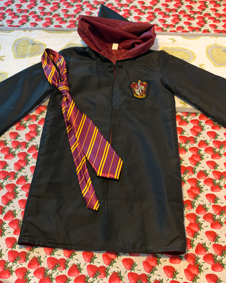 COSTUME NCARNEVALE HARRY POTTER