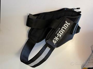 PETTORINE CANE TAGLIA M-L media taglia