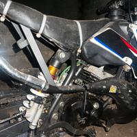 PIT BIKE viky italy 50