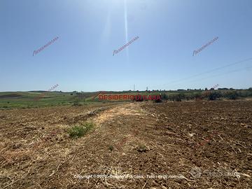 Terreno, Paceco.