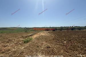 Terreno, Paceco.