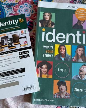 Identity b1 to b1+