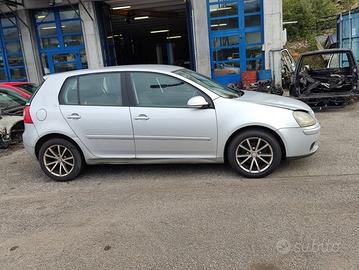 Porta posteriore dx VOLKSWAGEN GOLF 5 del 2004