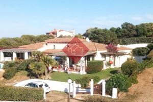 STINTINO - Villa con piscina