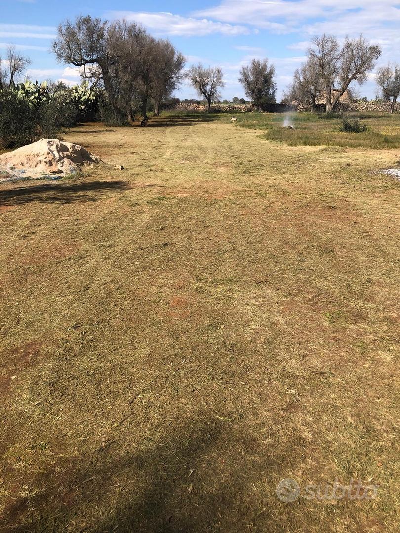Trullo abitabile antico forno e cisterna - Vista 3