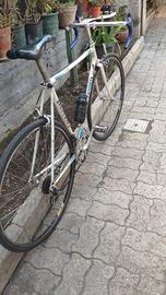 bicicletta da corsa 