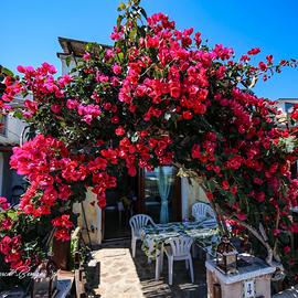 Trilocale splendida vista mare a Pittulongu Olbia
