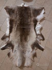 Coppia di tappeti di pelliccia di renna