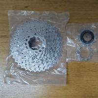 Nuovo Cassetta Pignone 11 velocità 11-36