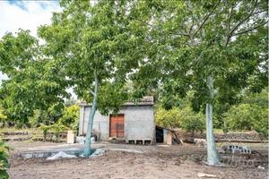 Terreno panoramico con fabbricato a Mascali