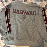 Felpa HARVARD