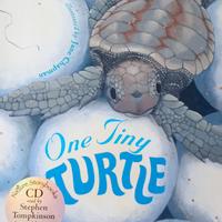 Libro e CD in inglese