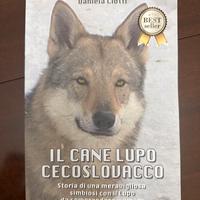 Il cane lupo cecoslovacco