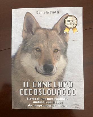 Il cane lupo cecoslovacco