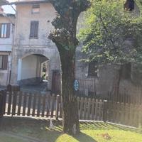 Pianta di noce secolare