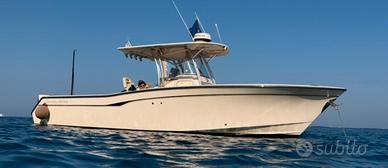 Grady white 306 bimini