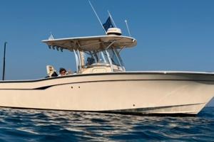 Grady white 306 bimini