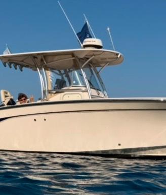 Grady white 306 bimini