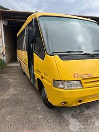 Scuolabus dayli 35 posti i