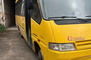 Scuolabus dayli 35 posti i