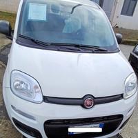 FIAT Panda 1.2 GARANZIA POCHI KM