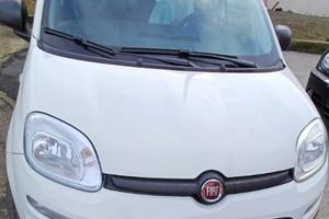 FIAT Panda 1.2 GARANZIA POCHI KM