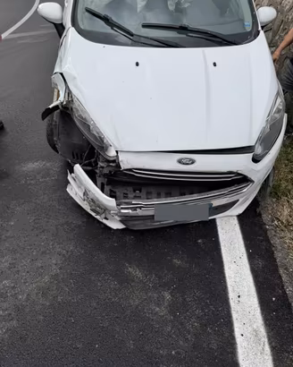 Ford Fiesta  ++INCIDENTATA++
