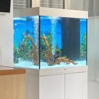 Juwell 200 litri (Cubo)